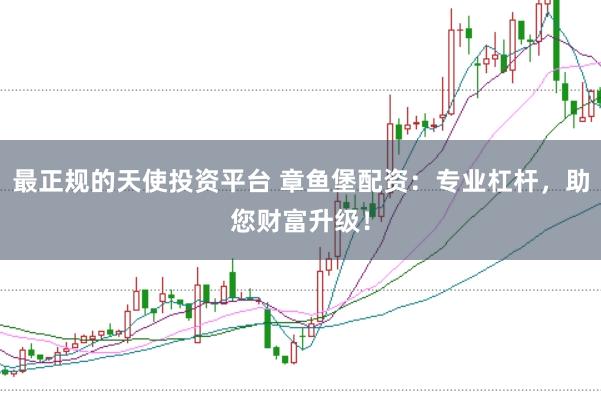 最正规的天使投资平台 章鱼堡配资：专业杠杆，助您财富升级！
