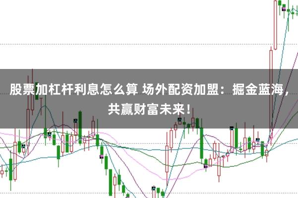 股票加杠杆利息怎么算 场外配资加盟：掘金蓝海，共赢财富未来！